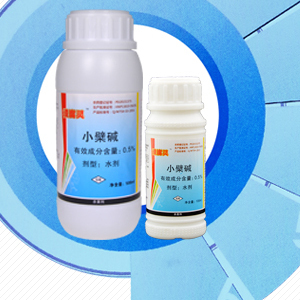 沃柑潰瘍病專用藥——潰腐靈 價格、廠家與產品詳解