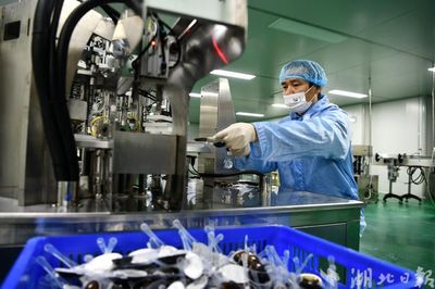 通城 中藥材深加工忙 醫藥產業展新篇